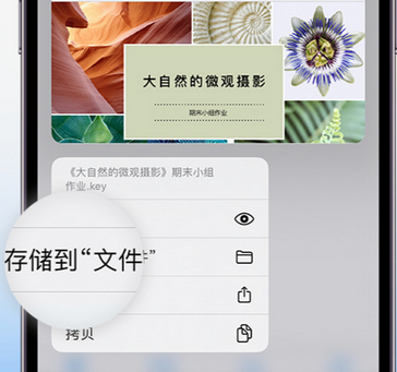 西安apple维修中心分享iPhone文件应用中存储和找到下载文件