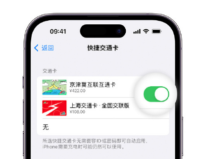 西安apple维修点分享iPhone上更换Apple Pay快捷交通卡手绘卡面 