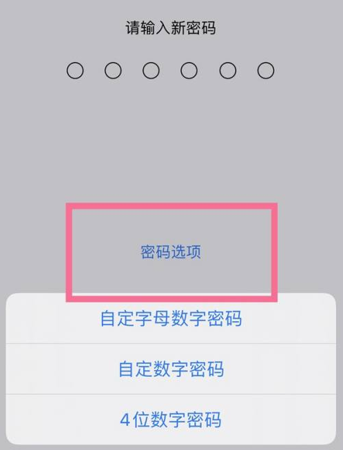 西安苹果14维修分享iPhone 14plus设置密码的方法 