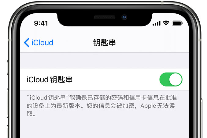 西安苹果手机维修分享在 iPhone 上开启 iCloud 钥匙串之后会储存哪些信息 