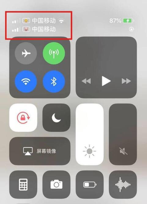 西安苹果手机维修分享为 iPhone 12 双卡设置标签 