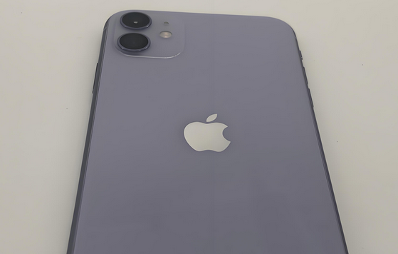 西安苹果11系统维修分享iPhone11手机系统崩溃无法开机如何解决